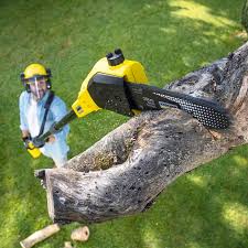 Best Seasonal Cleanup (Spring/Fall)  in Clearlake Oaks, CA